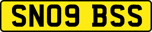 SN09BSS