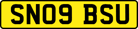 SN09BSU