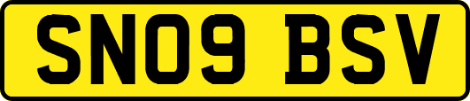 SN09BSV