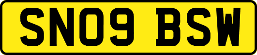 SN09BSW