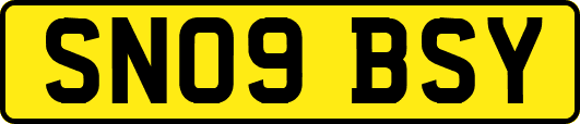 SN09BSY