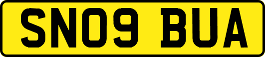 SN09BUA