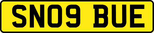 SN09BUE