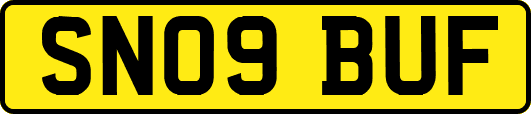 SN09BUF