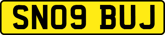 SN09BUJ