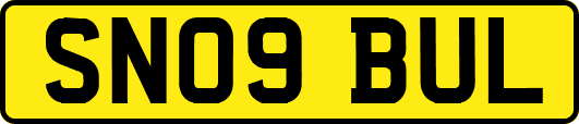 SN09BUL
