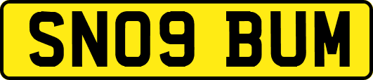 SN09BUM