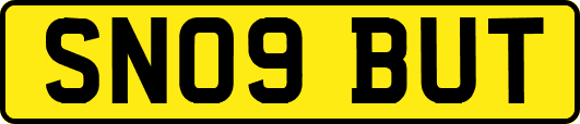 SN09BUT