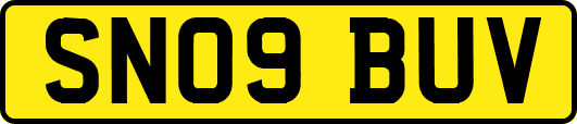 SN09BUV