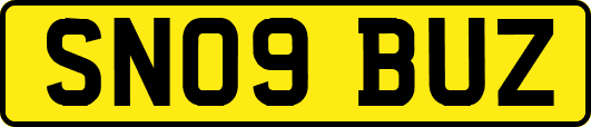 SN09BUZ