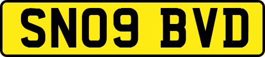 SN09BVD