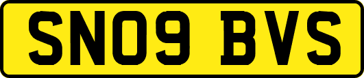 SN09BVS
