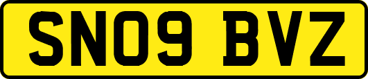 SN09BVZ