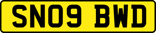 SN09BWD
