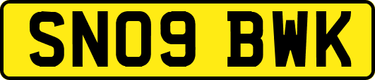 SN09BWK