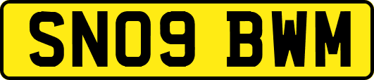 SN09BWM