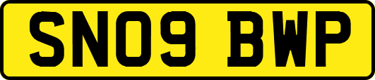 SN09BWP