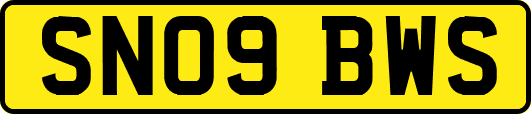 SN09BWS