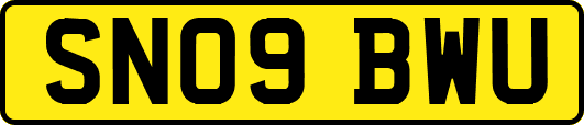 SN09BWU