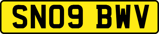 SN09BWV