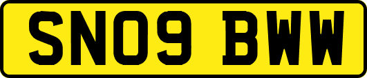 SN09BWW