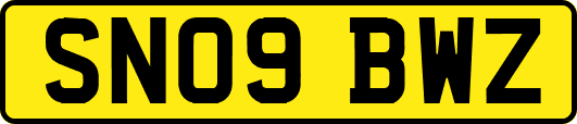 SN09BWZ