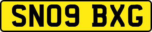SN09BXG