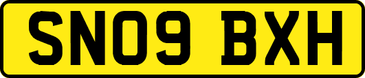 SN09BXH