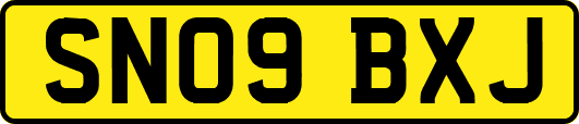 SN09BXJ
