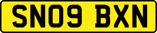 SN09BXN