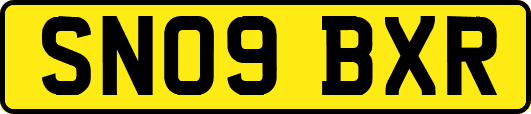 SN09BXR