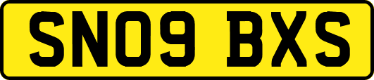 SN09BXS