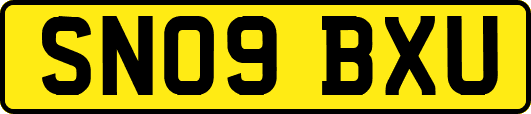 SN09BXU