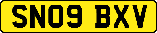 SN09BXV