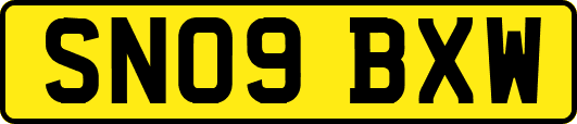 SN09BXW