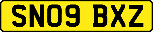 SN09BXZ