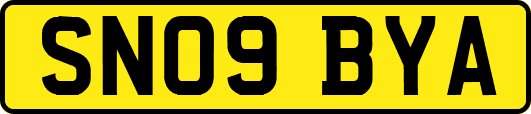 SN09BYA