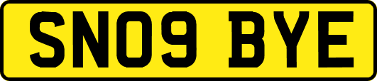 SN09BYE
