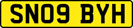 SN09BYH