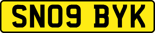 SN09BYK