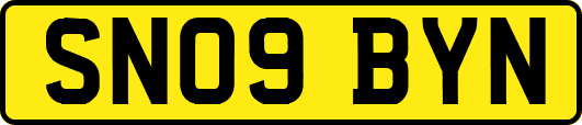 SN09BYN