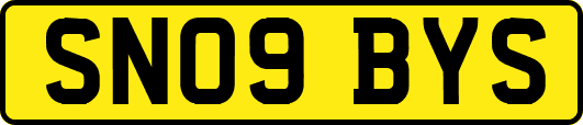 SN09BYS