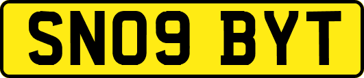 SN09BYT