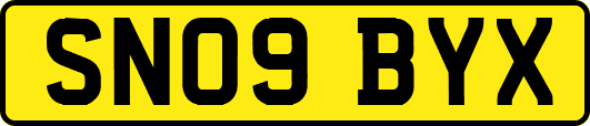 SN09BYX