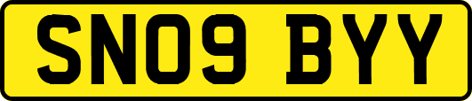 SN09BYY