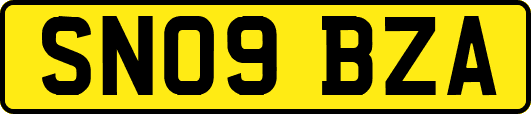 SN09BZA