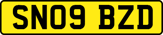 SN09BZD