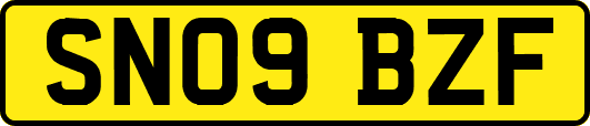 SN09BZF