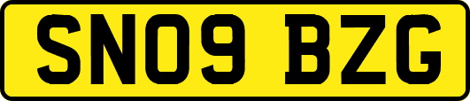 SN09BZG
