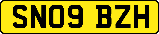 SN09BZH